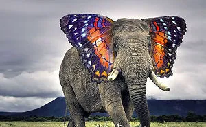 49 Strange Animal Hybrids Bred In Photoshop