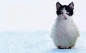 49 Strange Animal Hybrids Bred In Photoshop