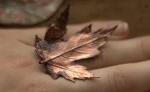 Beautiful Jewelry Made From Natural Objects Using Electroforming Method