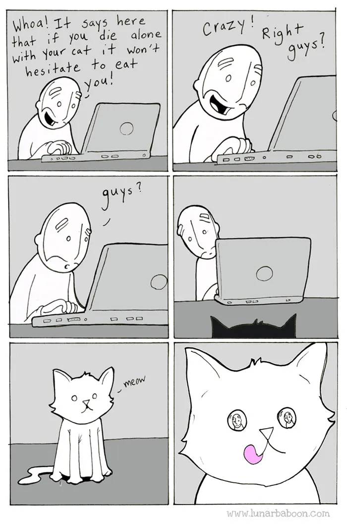Life With Cats By Lunarbaboon (18 Comics)