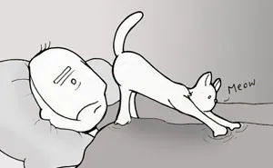 Life With Cats By Lunarbaboon (18 Comics)