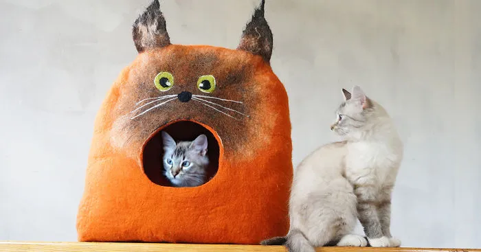 I Make Cat Beds Out Of Felt