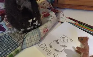 Copyright And Plagiarism As Explained By A Spectacled Bear And A Baby Weasel.