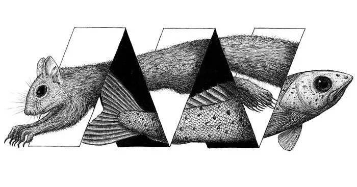 I Draw Optical Illusions Featuring Different Animals