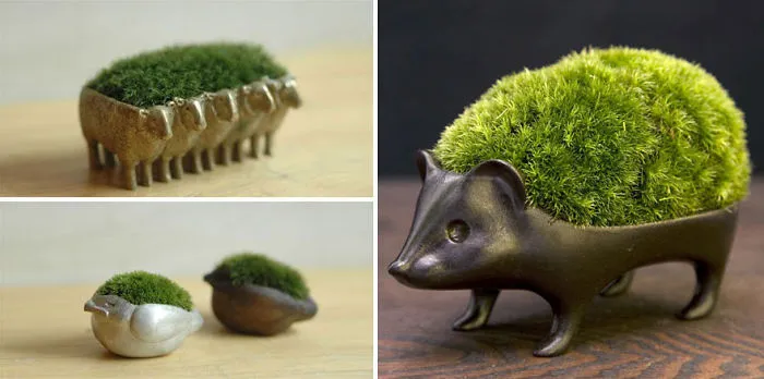 Japanese Moss Planters