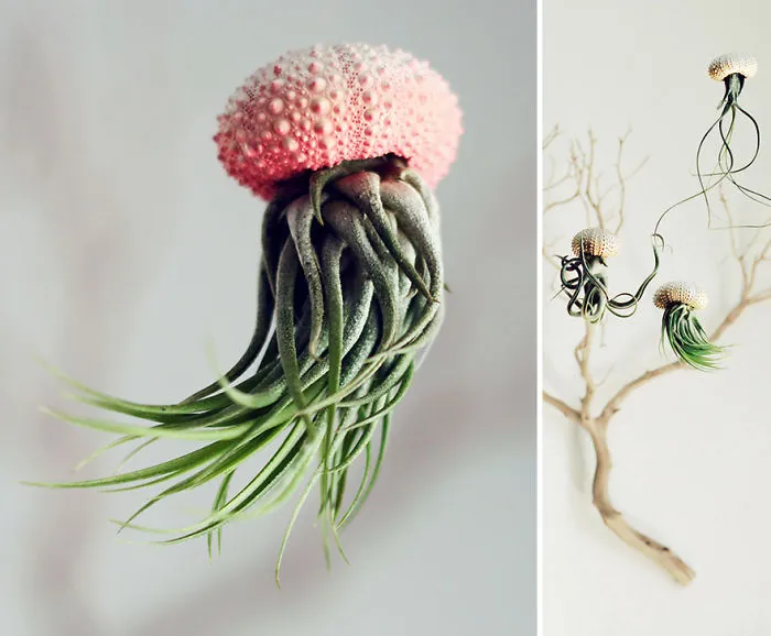 Jellyfish Air Planter