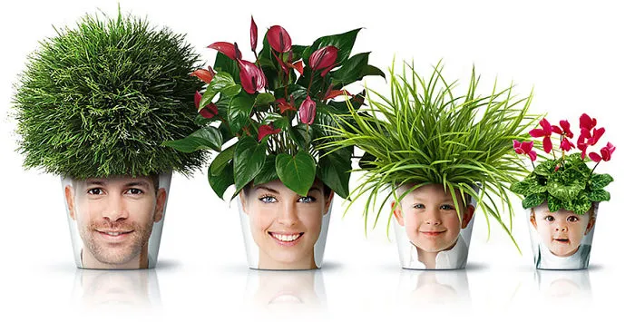 Flower Pot Heads