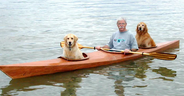Man Built Custom Kayak So He Could Take His Dogs On Adventures