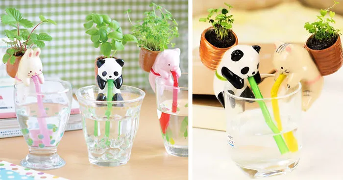 Cute Self-Watering Animal Planters