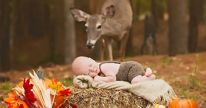 Deer Photobombs Baby's Photoshoot And Turns It Into A Fairytale