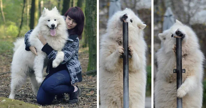 I Found It Amazing How Animals Can Change Your Life