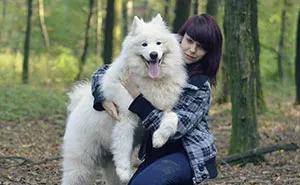 I Found It Amazing How Animals Can Change Your Life