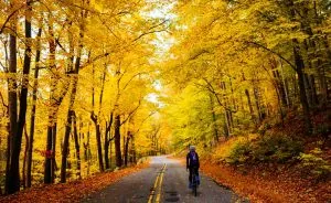 Exploring New Roads With Beautiful Fall Foliage By Bike
