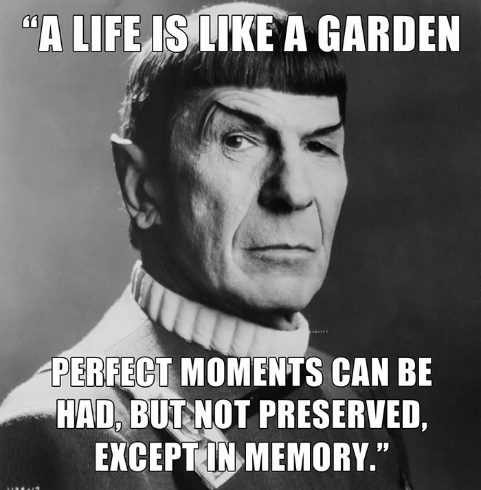 Leonard Nimoy's Final Public Words, Sent In The Form Of A Tweet