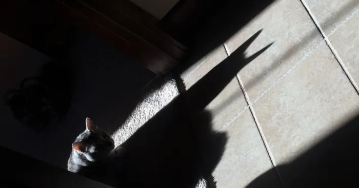 Batman Was In The House!