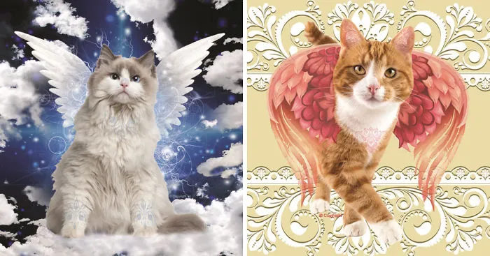 I've Spent 2000+ Hours Making This Fantasy Cat Calendar For 2016