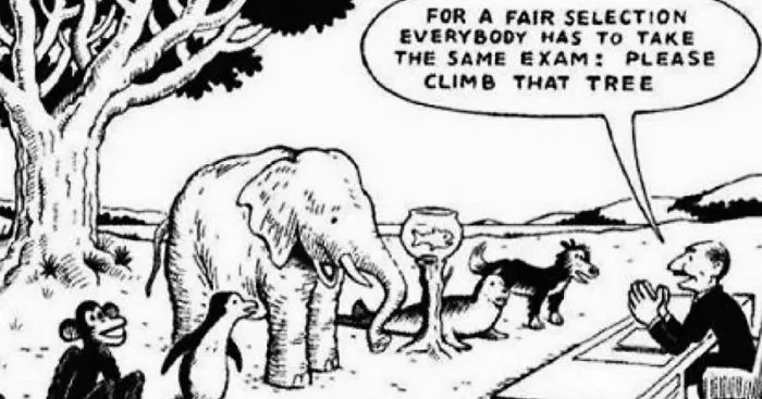 Our Education System