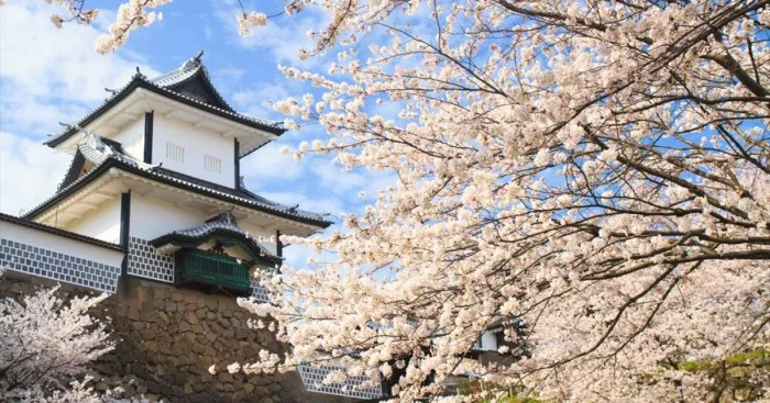 I Documented Kanazawa City In Japan To Prove That It's Worth A Visit