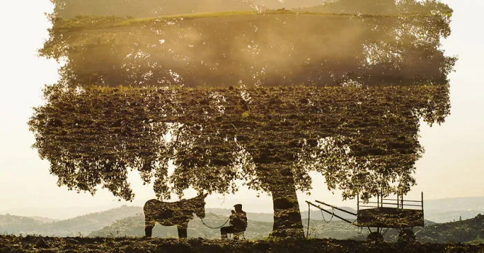 I Made These Multiple-Exposure Photos Without Digital Manipulation