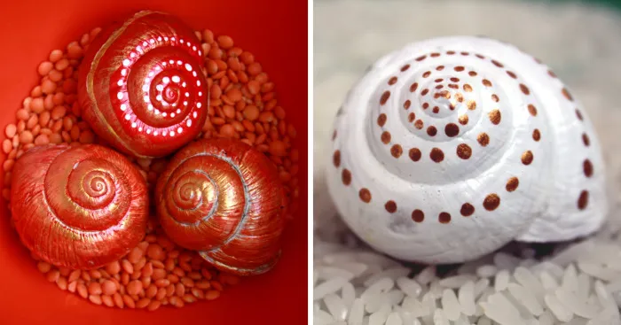 Invasion Of The Rainbow Snails