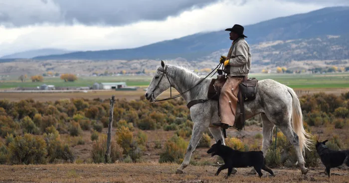 Our Amazing Holidays In The Southwestern United States