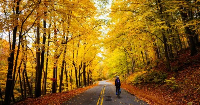 Exploring New Roads With Beautiful Fall Foliage By Bike