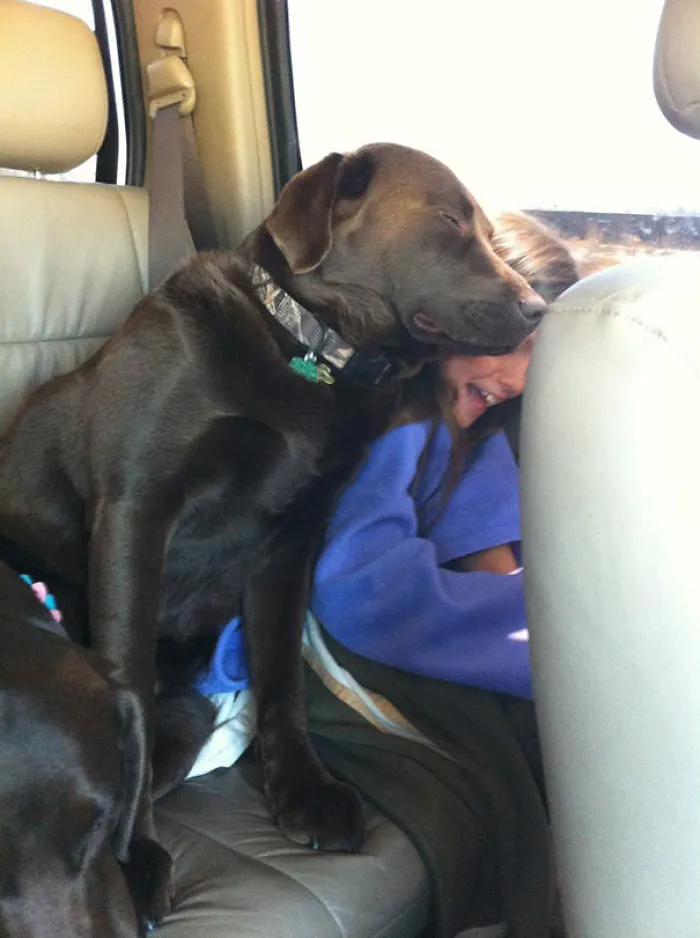 She Was Yelling "Auntie He's Squishing Me!". I Look Back To Find Him Completely Content