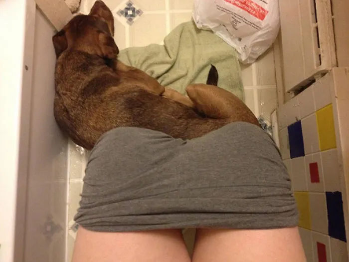 You Think Your Cats Don't Respect Personal Space?