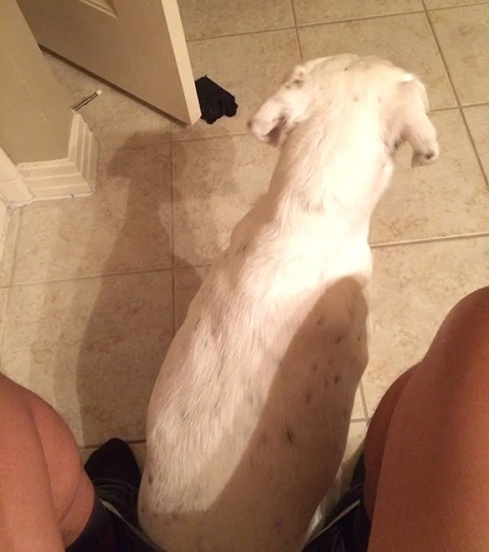 What Is Personal Space?
