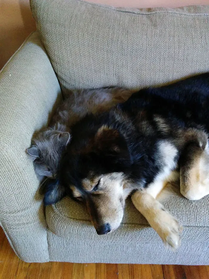 No Concept Of Personal Space