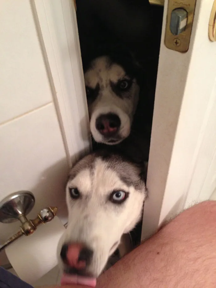 When You Live Just With Your Wife That Must Mean That You Don't Have To Lock The Bathroom Door, Right? Wrong