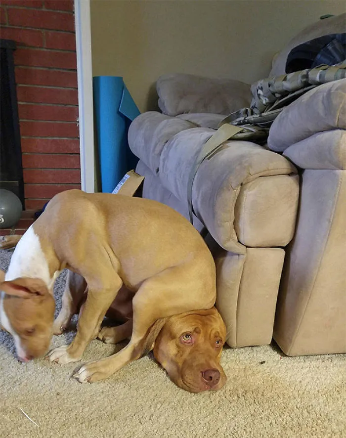 No Sense Of Personal Space