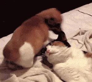 I Will Sit Here