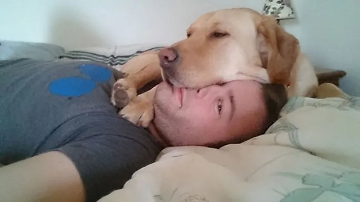According To Lily I Make A Good Pillow