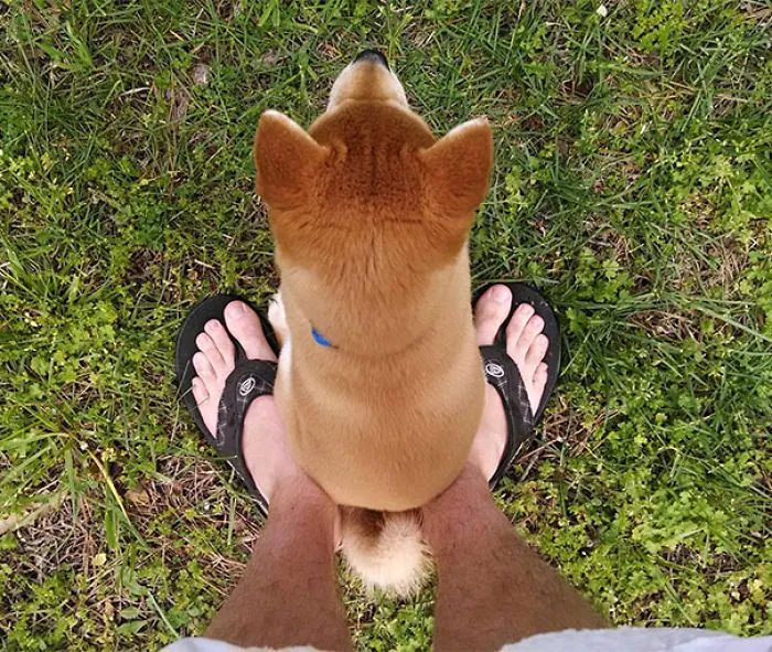 Yeah, I'm Just Gonna Sit Right Here