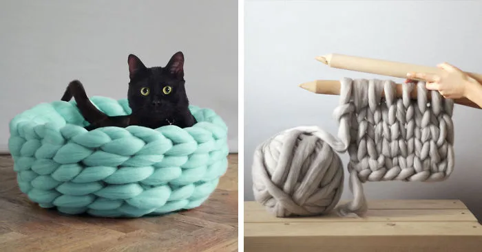 Extremely Chunky Pet Beds Knit By Anna Mo