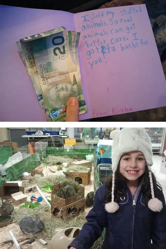 My Daughter Asked Me If She Could Sell Her Stuffed Animals And Donate The Money To Our Local Spca