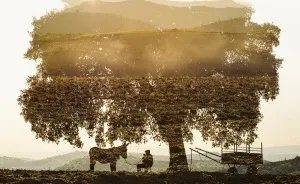 I Made These Multiple-Exposure Photos Without Digital Manipulation