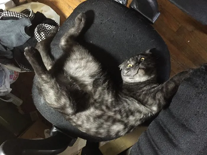 I'm Stuck!