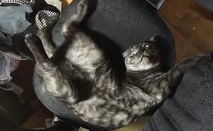 I'm Stuck!