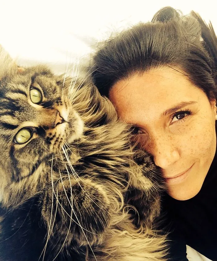 Close-up of a Maine Coon cat with long fur resting next to a smiling woman, showcasing giant kitties with soft character.