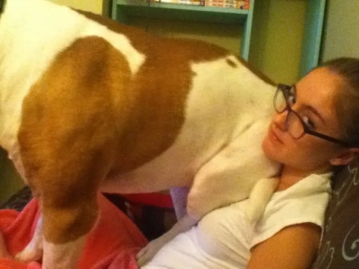 I Just Wanna Be A Lap Dog