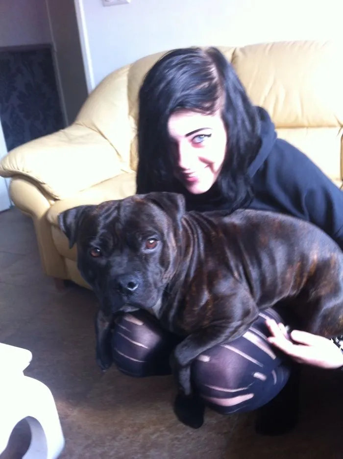 Jax Is Also A Lap Dog... He Couldn't Care Less About My Personal Space