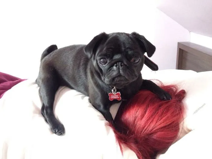 This Seems Like A Comfy Spot