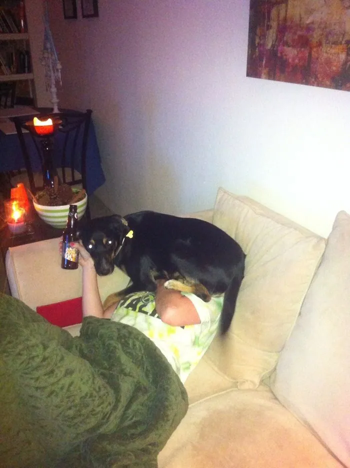 Her Dad Was Yelling At Her For Chewing A Shoe So She Tried To Hide On Mom.