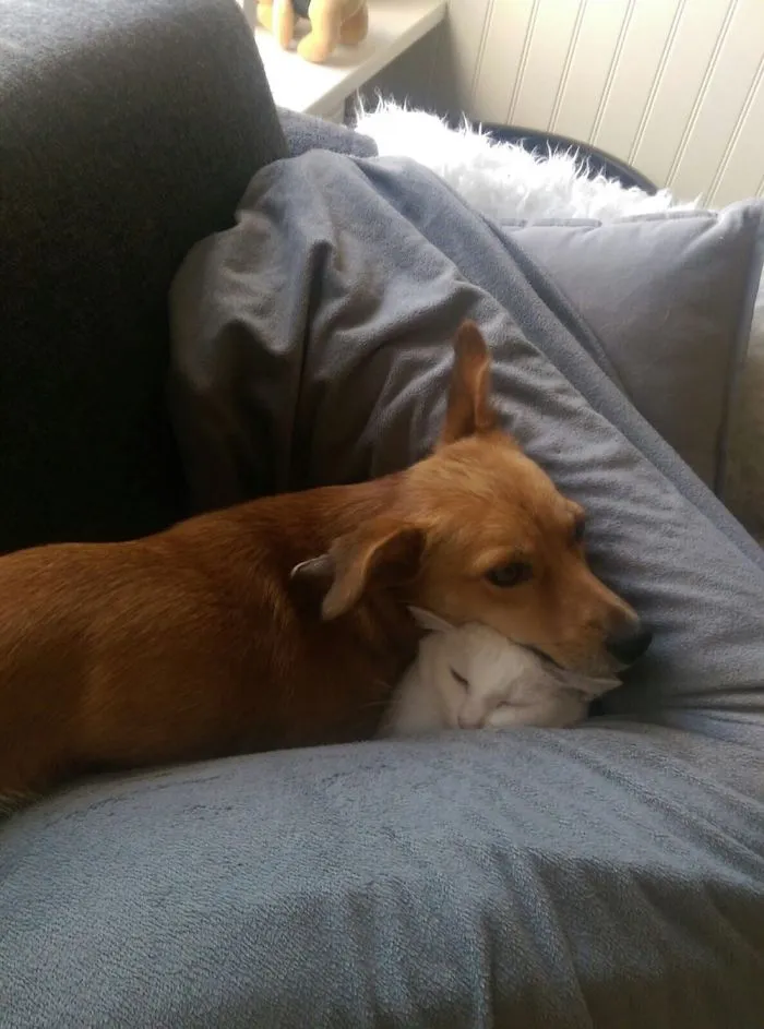 Not Much Space On This Couch...