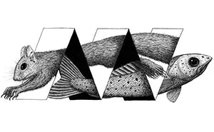 I Draw Optical Illusions Featuring Different Animals