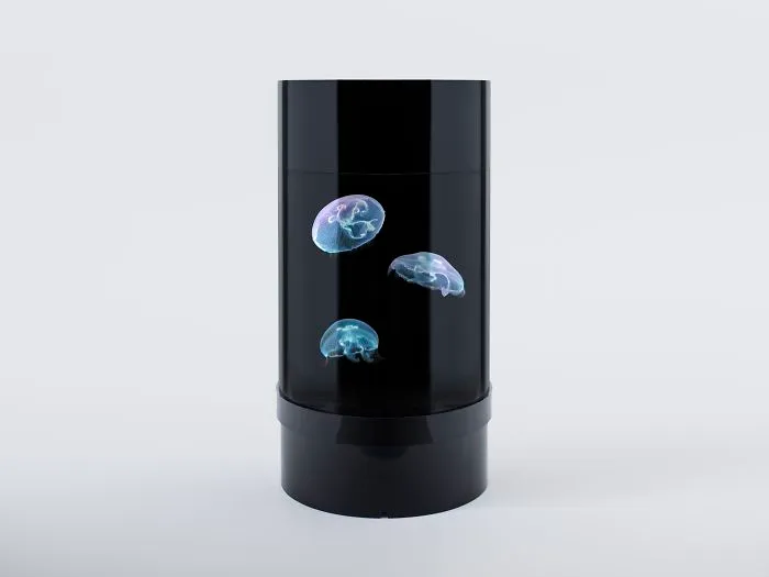 Mesmerizing New Jellyfish Tank Is About To Blow My Cat's Mind