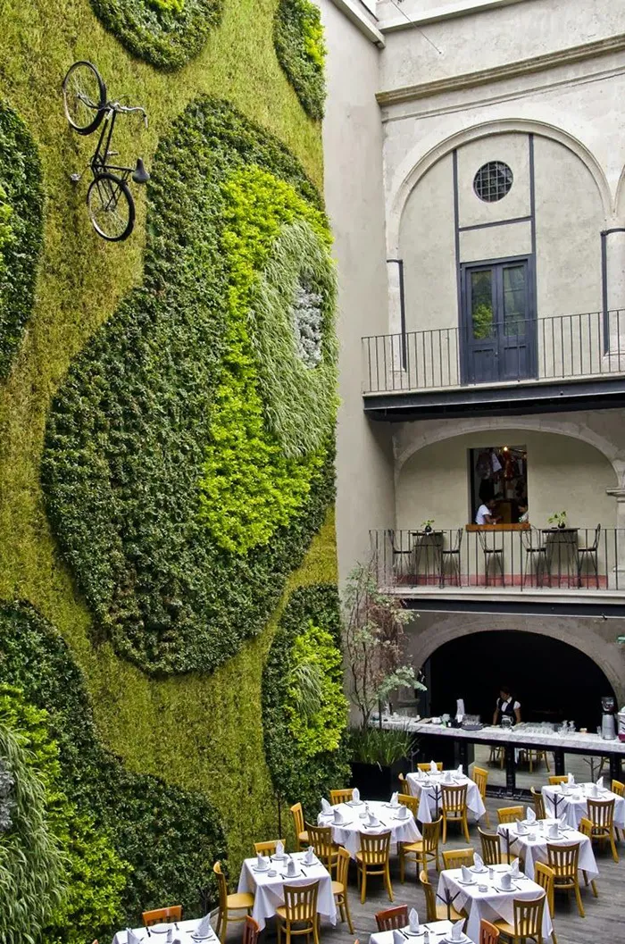 Moss Wall In A Restaurant