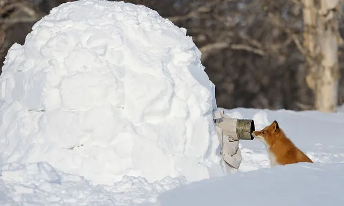 53 Reasons Why Being A Nature Photographer Is The Best Job In The World